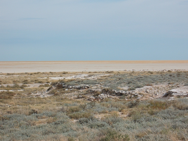 Blick in die Etosha-Pfanne