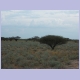 Landschaft im Etosha Nationalpark