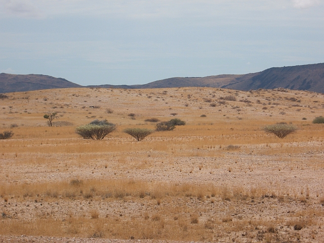 Landschaft zwischen Uis und Spitzkoppe