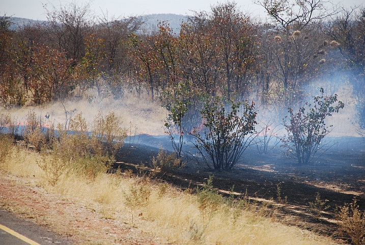 Grasbrand am Strassenrand