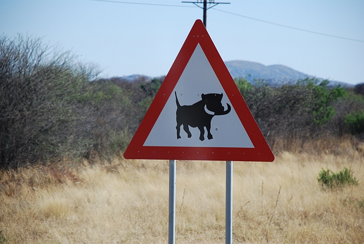 Achtung Warzenschwein Strassenschild