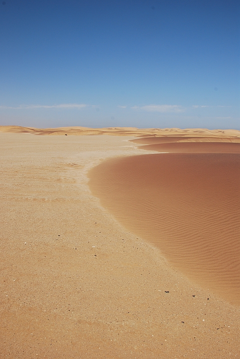 Im Dünengürtel von Swakopmund