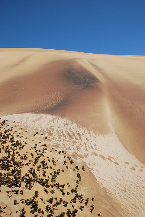 Düne bei Swakopmund