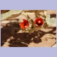 Kleine, rote Blüten mitten in der Wüste bei der Düne 45 zwischen Sesriem und Sossusvlei
