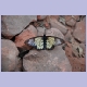 Schmetterling am Waterberg östlich von Otjiwarongo