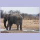 Elefant beim Schlammbad, verfehlt sich selbst als Ziel