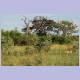 In der Kwando Core Area des Bwabwata Nationalparks gibt es vor allem Antilopen und Vögel zu sehen