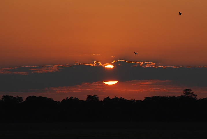 Sonnenaufgang am Rande des Hwange Nationalparks