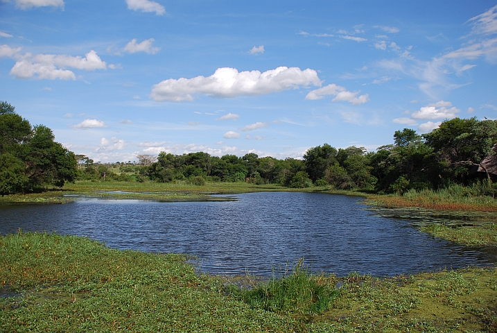 Der Antelope Park ist auch ein kleines Paradies für Wasservögel