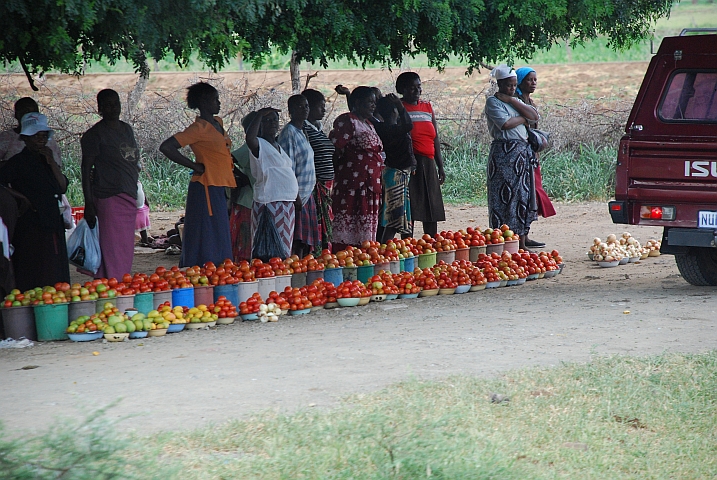 Tomaten- (und Mango-) Verkäuferinnen zwischen Birchenough Bridge und Hot Springs im Osten Simbabwes