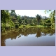 Der Botanische Garten von Vumba in den Bergen bei Mutare an der Grenze zu Mosambik