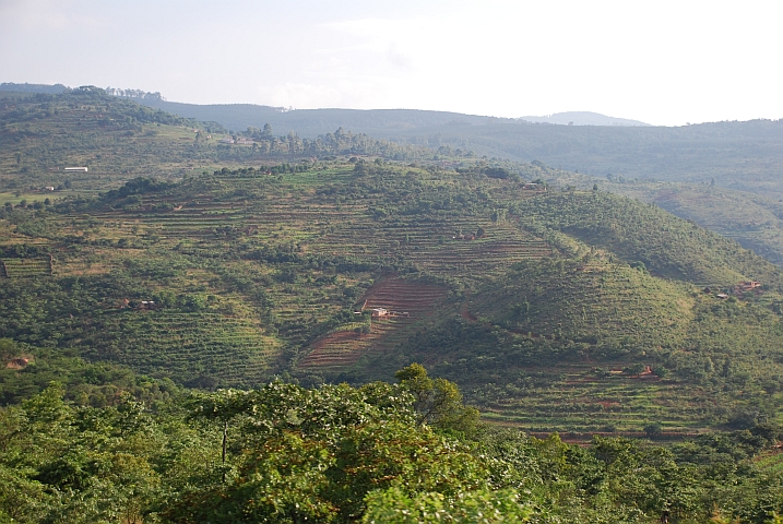 Terrassenbewirtschaftung im Vumbere Range in den Eastern Highlands