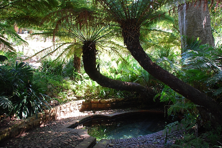 Schattiges Bad im Botanischen Garten