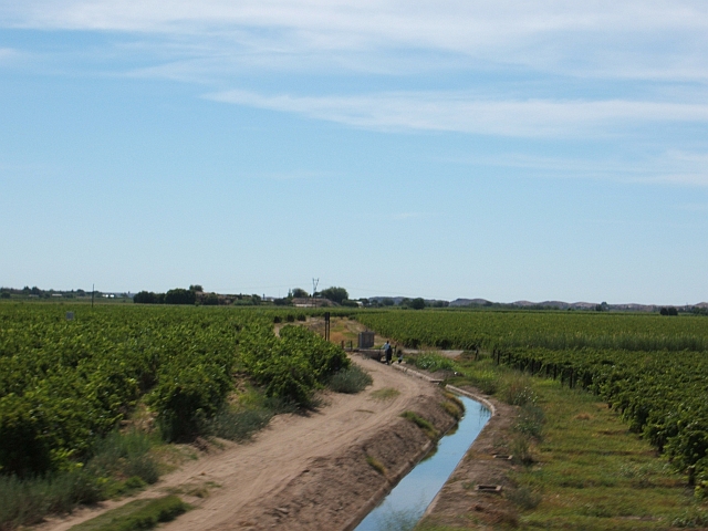 Bewässerungskanal mit Wasser aus dem Orange für die Reben