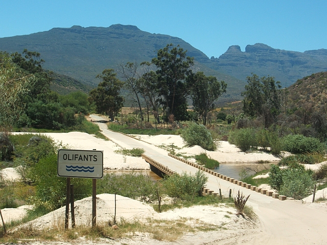 Der Olifants River am Eingang zu den Zederbergen