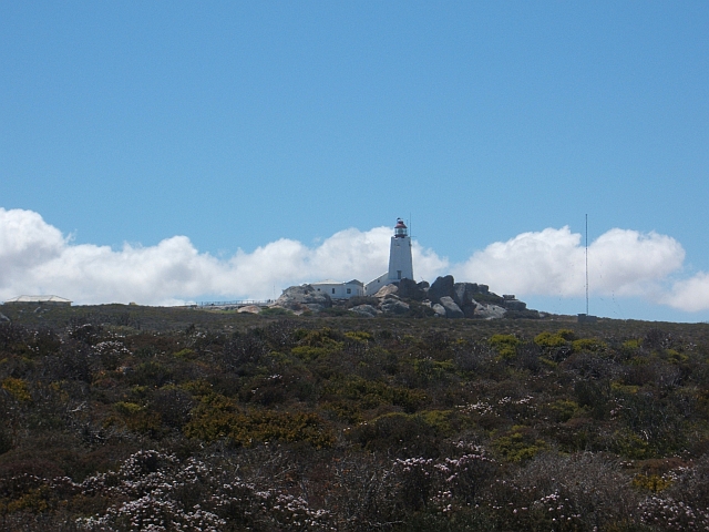 Der Leuchtturm am Cape Columbine