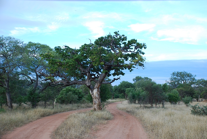 Am Mahonie Loop bei Punda Maria