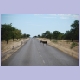Ein Esel auf der Strasse, das inoffizielle “Ende Nationalpark“-Zeichen