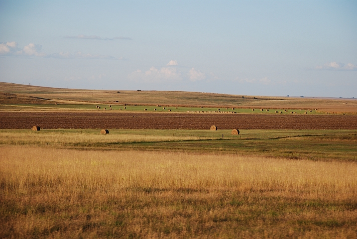 In der Free State Provinz gibt es riesige Getreidefelder