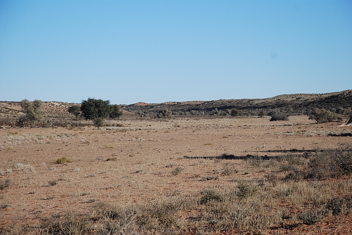 Das südliche Auob Tal im Kgalagadi Nationalpark