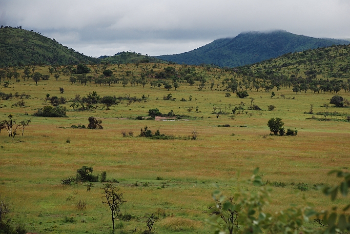 Landschaft im Pilanesberg Nationalpark