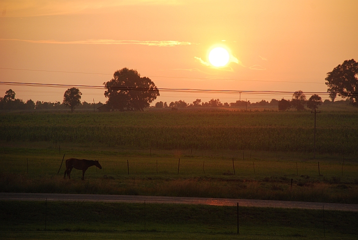 Morgenstimmung in Petrus Steyn