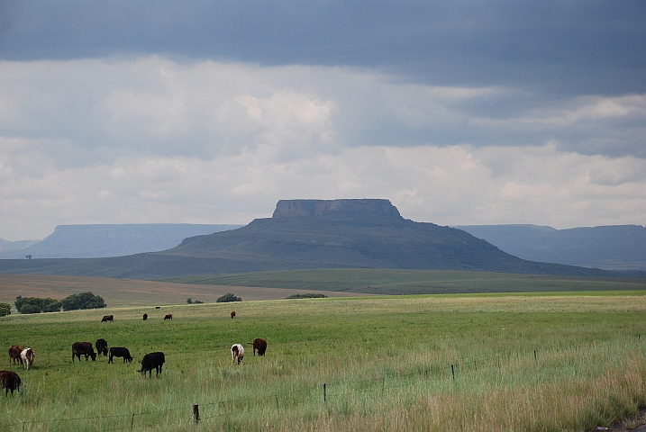 In der Nähe des Sterkfontein Dam