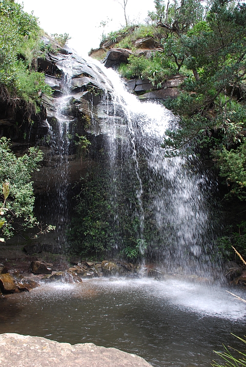 Doreen Wasserfall