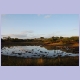 Schwach besuchtes Wasserloch im Mkuze Nationalpark