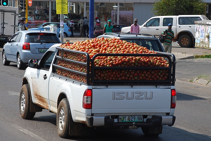 Ein mit Tomaten möglicherweise leicht überladener Pickup