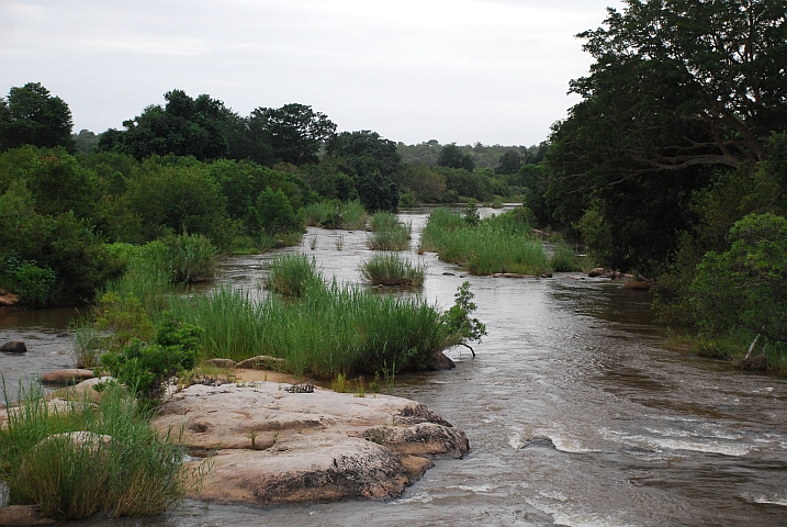 Der Sabie Fluss im Krüger Nationalpark östlich von Skukuza