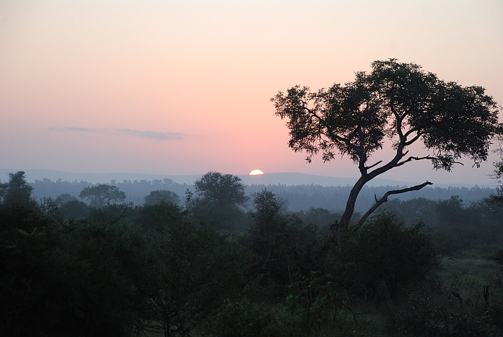 Sonnenaufgang bei Crocodile Bridge