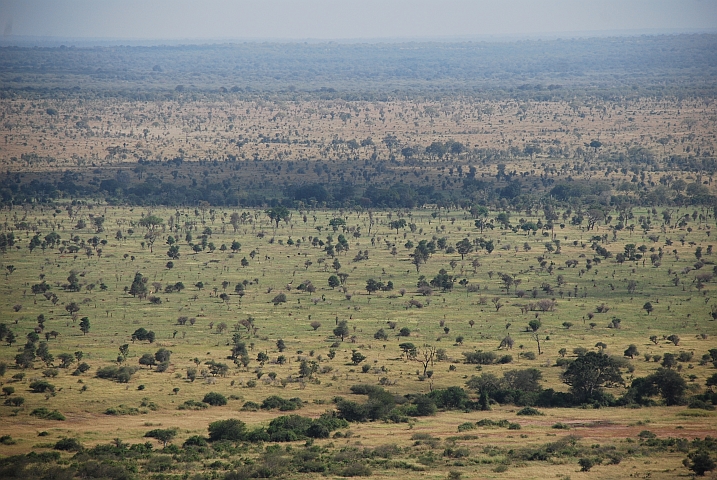 Blick vom Nkumbe Aussichtspunkt über die Krüger Park Savanne