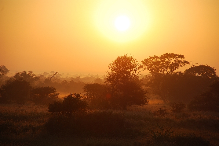 Morgenstimmung bei Satara