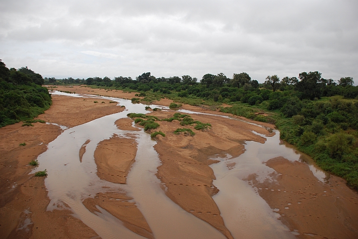 Der Shingwedzi Fluss war hier vor einem Jahr komplett trocken 