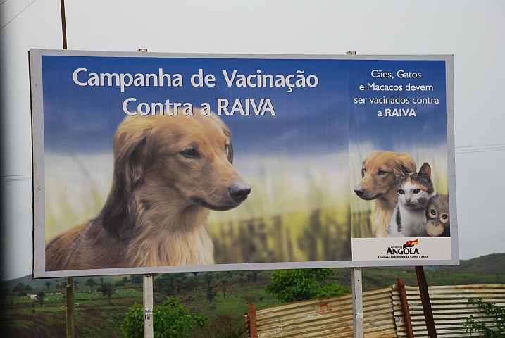 Tollwut-Impfkampagne für Hunde, Katzen und Affen