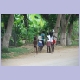 Mädchen auf Mango-Jagd in Sumbe