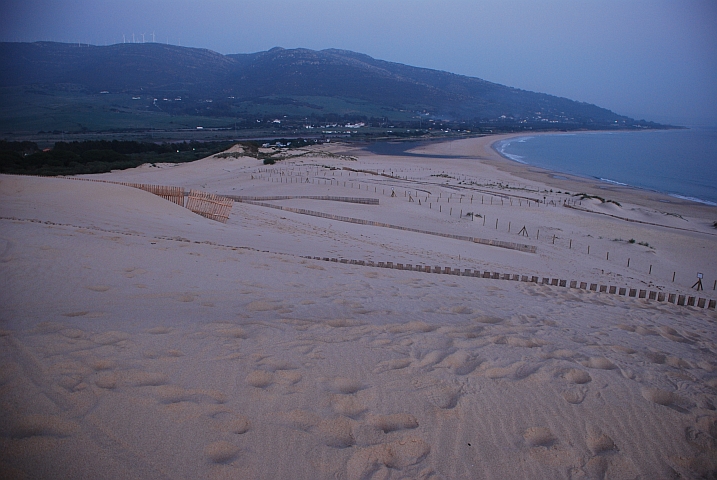 Wanderüne bei Tarifa