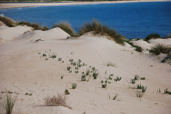 Auf der Wanderdüne bei Tarifa (Spanien)