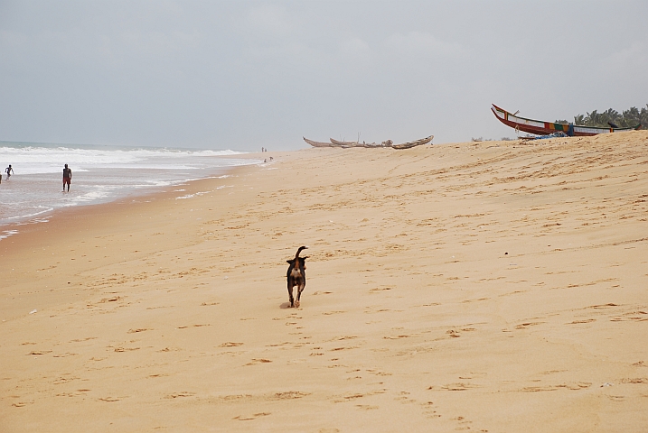 Awalé Plage bei Grand Popo