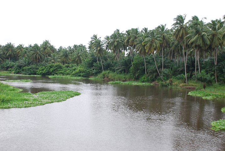 Lagune bei Grand Popo