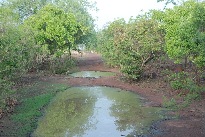 Piste im Park Forêt des deux Balé