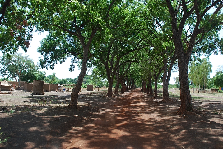 Allee durch ein Dorf an der Piste von Houndé nach Sara