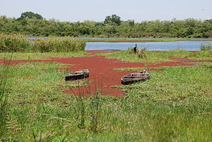 Mare aux Hippopotames