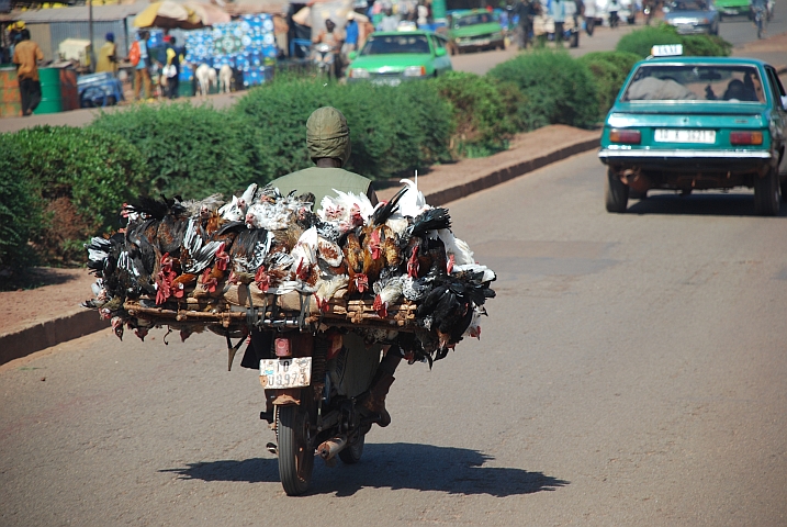 Hühnertransport in Bobo-Dioulasso