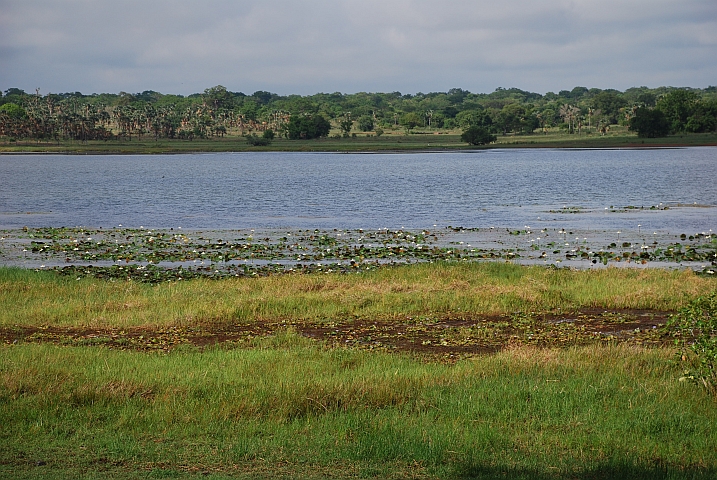 Lac Tengréla bei Banfora