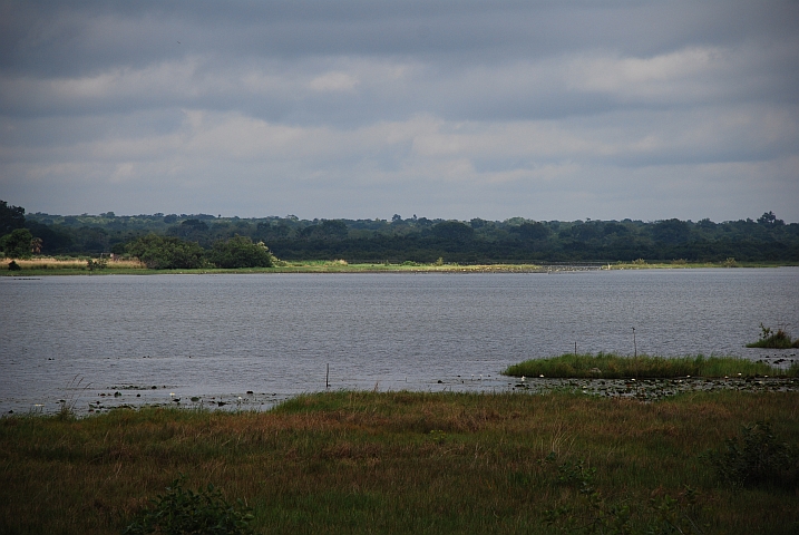 Lac Tengréla bei Banfora