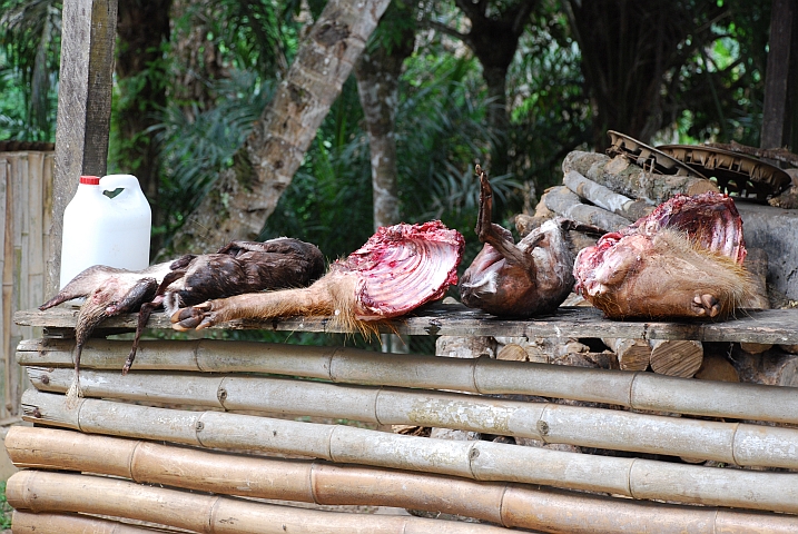 Bushmeat: En Guete!