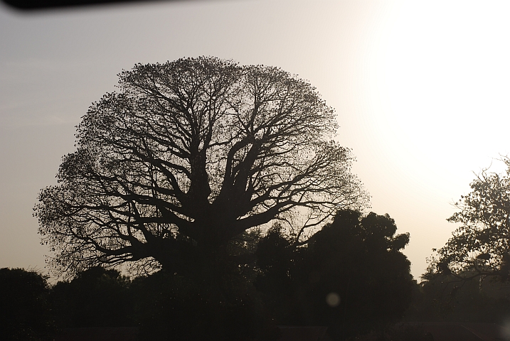 Abendstimmung an der Piste nach Banjul