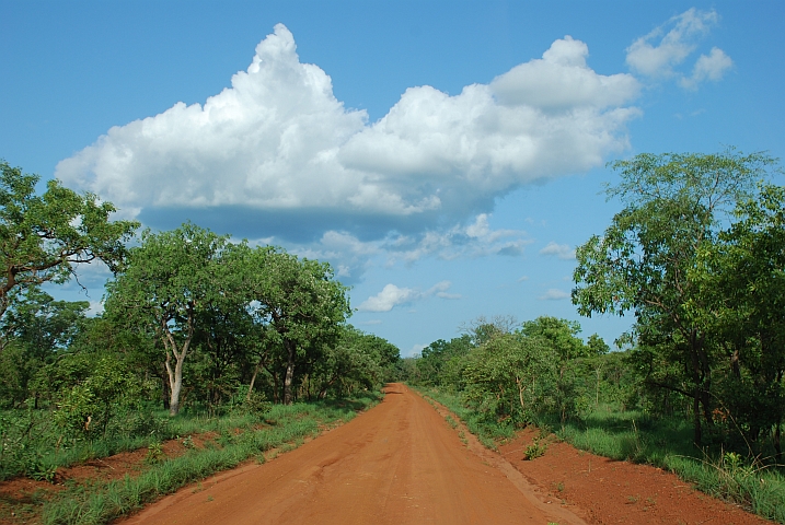 Piste kurz vor Larabanga, bzw. Mole Nationalpark